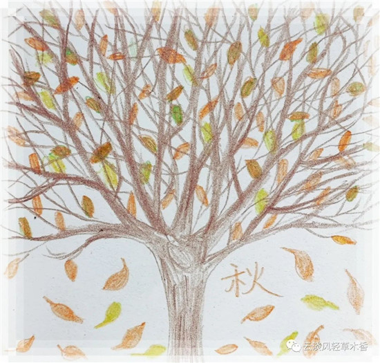 气·候·季·节-图片3