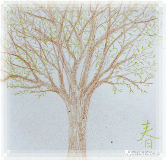 气·候·季·节-图片1