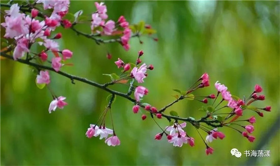 清明心情
