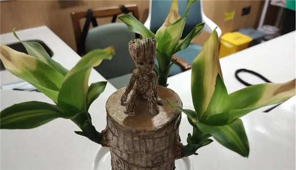 “家中不放6物，生活越来越富”，究竟是哪6物？不论家里多宽敞，尽快处理掉-图片3