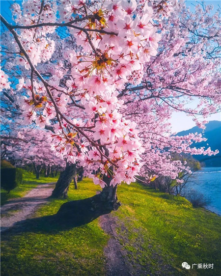 【两白、三丰之地】