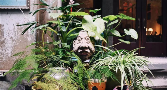 俗语：“门前摆水可催财”，到底什么是摆水，这种说法有什么依据？-图片2