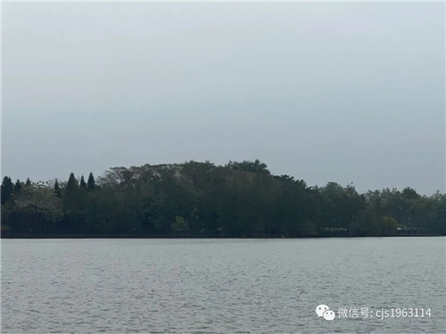“老死不相往来”和“相忘于江湖”