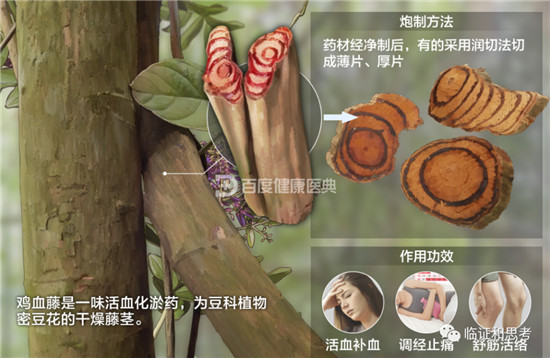 一个中成药，补血活血，补血不滞血，活血不伤血-图片3